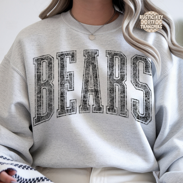 Bears vintage mascot DTF Transfer, Ready to Press