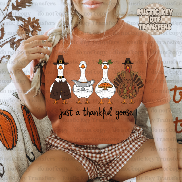 Just a thankful goose DTF Transfer, Ready to Press