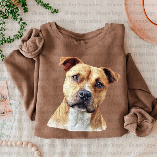 Pitbull DTF Transfer, Ready to Press