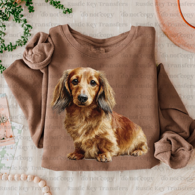 Weiner dog DTF Transfer, Ready to Press