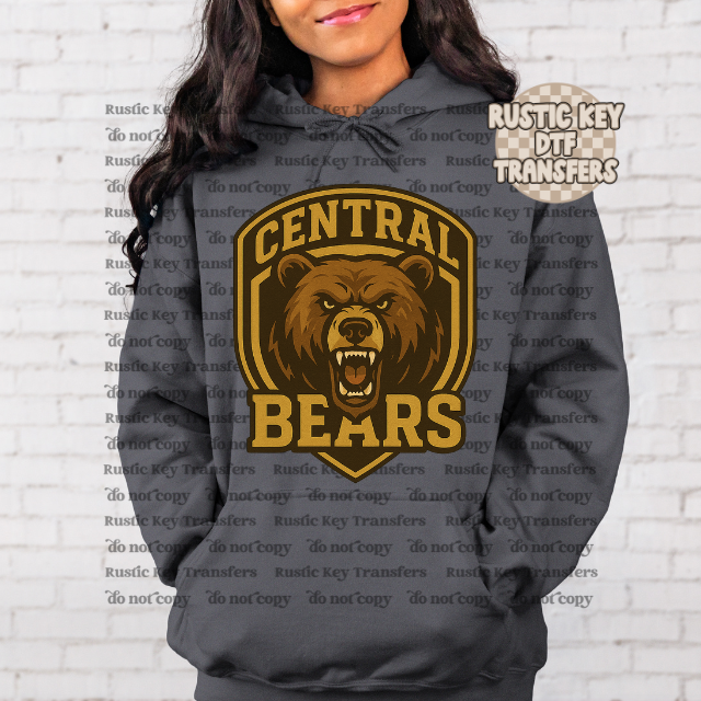 Central Bears mascot Football Gildan Hoodie