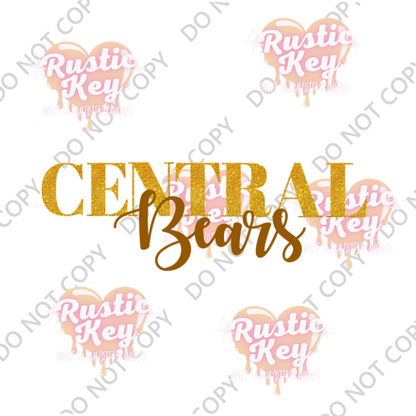 CENTRAL BEARS DTF TRANSFER