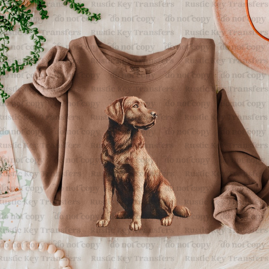 Golden retriever DTF Transfer, Ready to Press