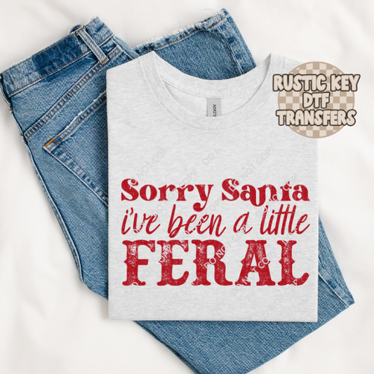 Sorry Santa I've been a little feral DTF TRANSFER