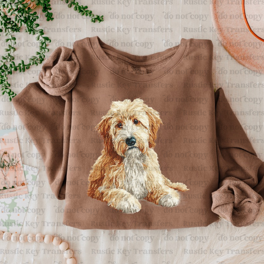 Golden Doodle DTF Transfer, Ready to Press