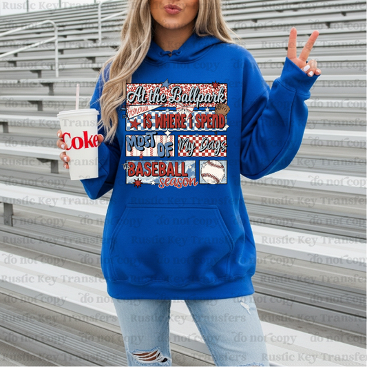 At the Ballpark DTF Transfer, Ready to Press