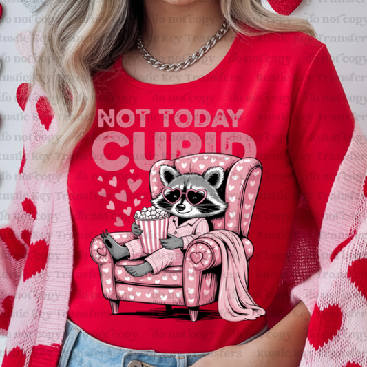 Not today cupid racoon DTF Transfer, Ready to Press