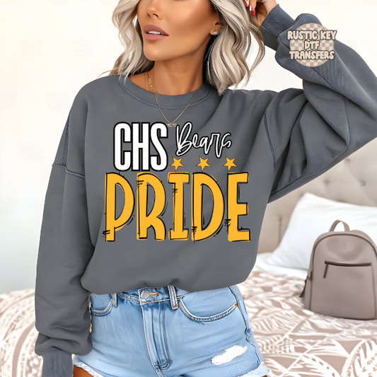 CHS bears pride DTF Transfer, Ready to Press