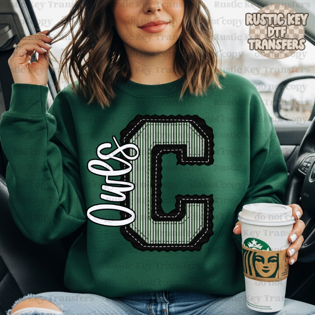 Cairo Owls Prepster DTF Transfer, Ready to Press