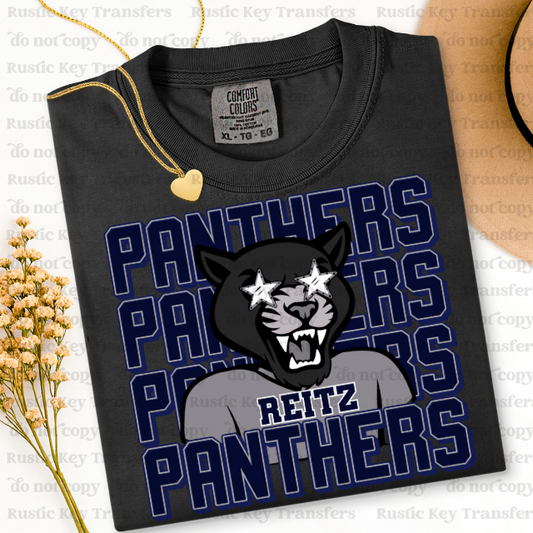 Reitz Panthers DTF TRANSFER
