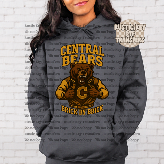 Central Bears Brick by Brick Football Gildan Hoodie