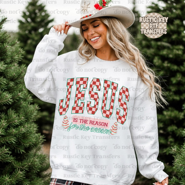 Jesus is the reason DTF Transfer, Ready to Press