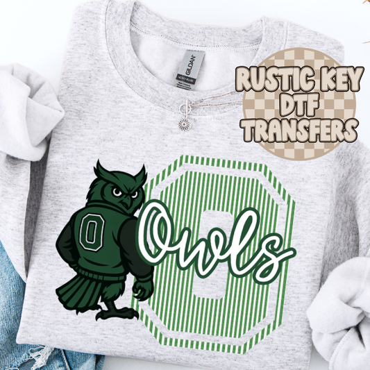 Cairo Owls seersucker mascot DTF TRANSFER