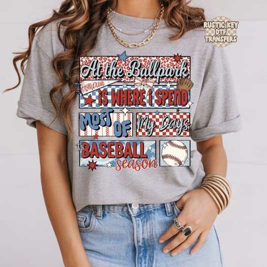 At the ballpark DTF Transfer, Ready to Press