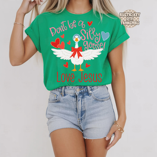 Don't be a silly goose DTF Transfer, Ready to Press