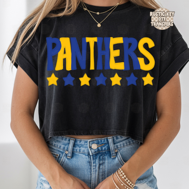 Panthers stars DTF Transfer, Ready to Press