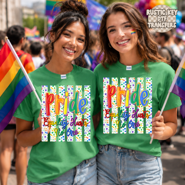 Pride equality hurts no one DTF Transfer, Ready to Press Rustic Key Transfers