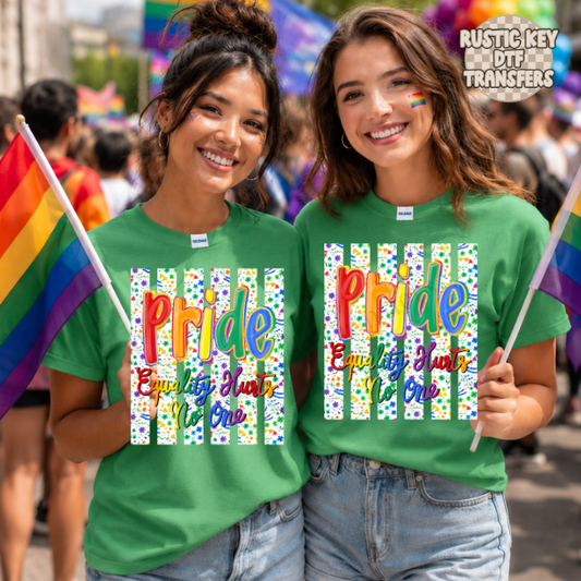 Pride equality hurts no one DTF Transfer, Ready to Press Rustic Key Transfers